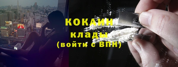 шишки Каменногорск