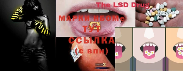 шишки Каменногорск