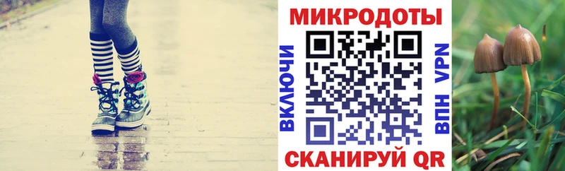 Купить где  Андреаполь  Псилоцибиновые грибы MAGIC MUSHROOMS 